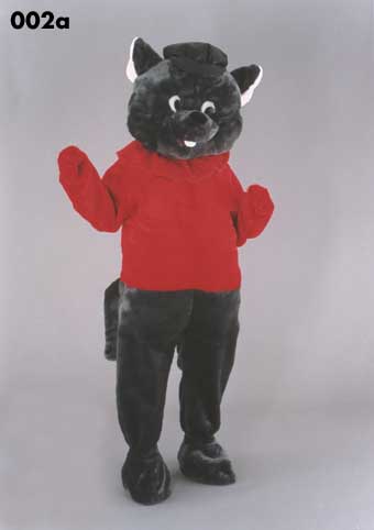 Mascot 002a Gray Fox
